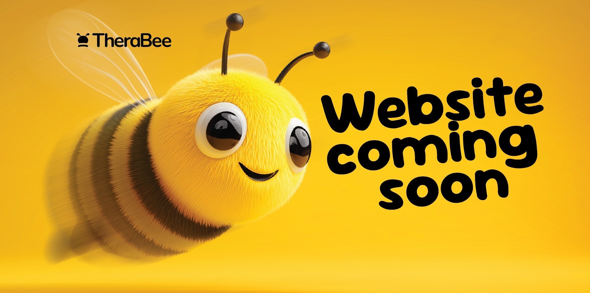 Website Coming Soon